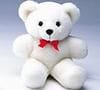 Stuffed Bear